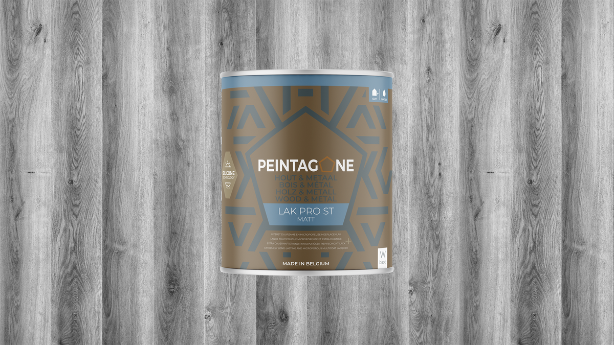 Peintagone Lak Pro ST Matt paint can – 1 L