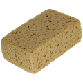 Brown sponge - Sam
