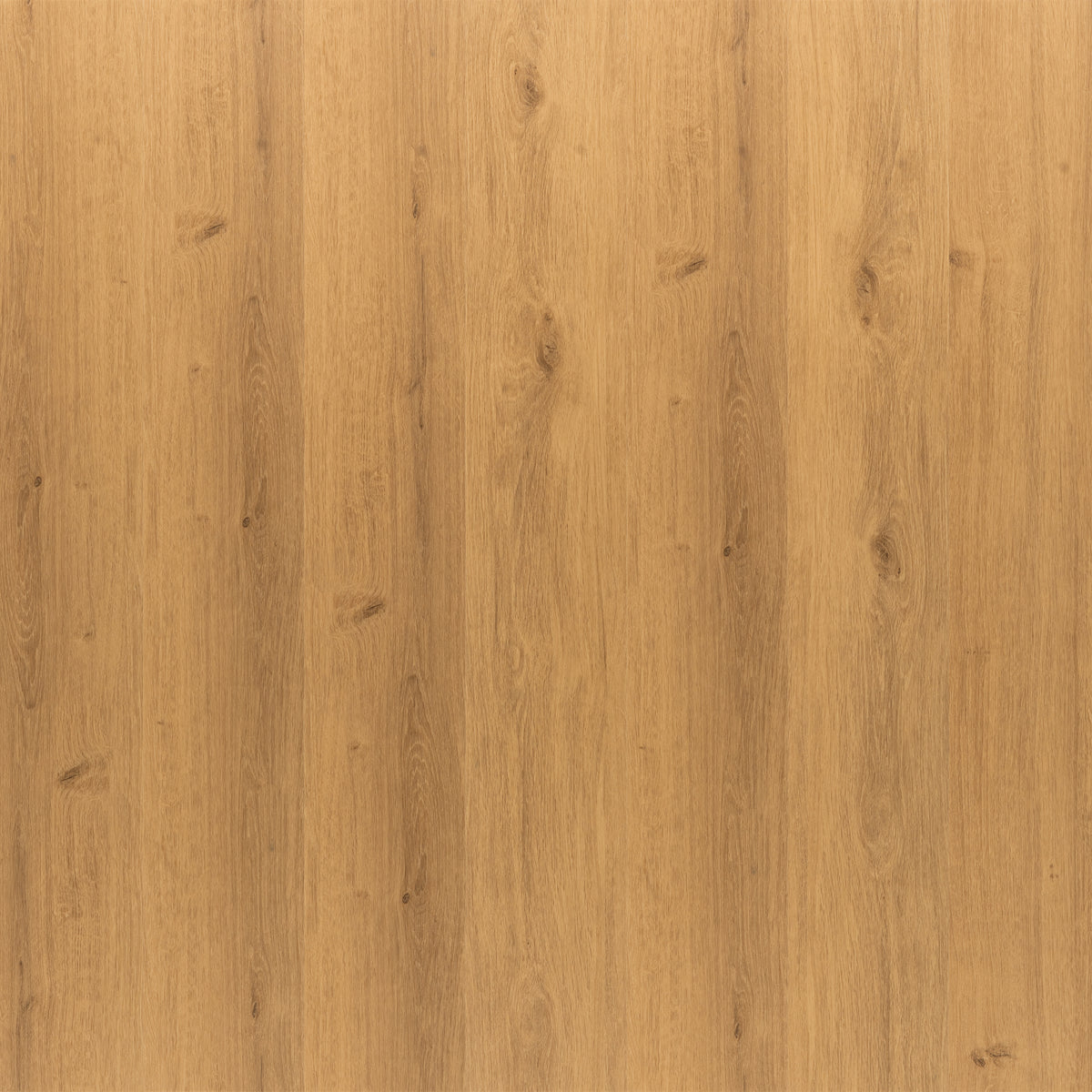 Wood Rock 55 - Only Wood