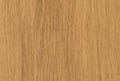 Wood Rock 55 - Free sample